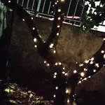 Popi Al Mare In Con Giardino E Wifi Apartamento