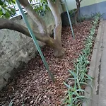 Popi Al Mare In Con Giardino E Wifi Apartamento