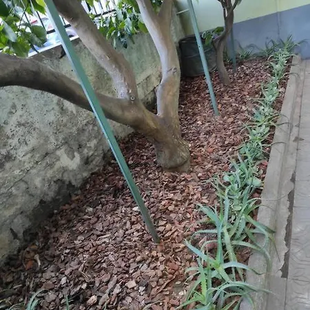 Popi Al Mare In Con Giardino E Wifi 公寓