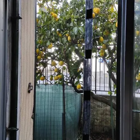 شقة Popi Al Mare In Con Giardino E Wifi