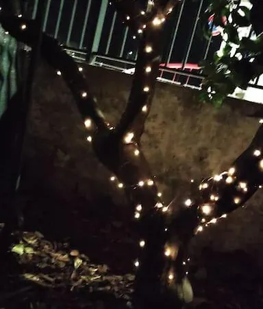 Popi Al Mare In Con Giardino E Wifi Апартаменты