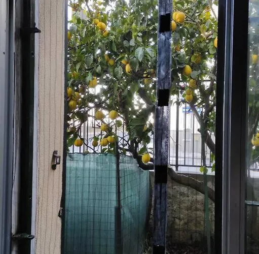 Appartamento Popi Al Mare In Con Giardino E Wifi